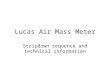 Lucas Air Mass Meter Stripdown sequence and technical information