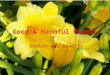 Good & Harmful Plants Edible and Deadly. Some Poisonous Plants 1.Oleander 2.Larkspur 3.Monkshood 4.Lily-of-the Valley 5. Iris 6.Foxglove 7.Bleeding Heart