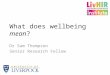 What does wellbeing mean? Dr Sam Thompson Senior Research Fellow
