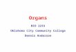 Organs BIO 2215 Oklahoma City Community College Dennis Anderson