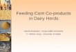 David Anderson, Texas A&M University C. Wilson Gray, University of Idaho Feeding Corn Co-products in Dairy Herds