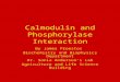 Calmodulin and Phosphorylase Interaction By James Proestos Biochemistry and Biophysics Department Dr. Sonia Anderson’s Lab Agriculture and Life Science