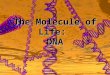 The Molecule of Life: DNA. The purpose of this laboratory exercise is to extract and visualize DNA from fruit. The objectives of the laboratory exercise
