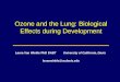 Ozone and the Lung: Biological Effects during Development Laura Van Winkle PhD DABT University of California, Davis lsvanwinkle@ucdavis.edu