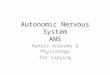 Autonomic Nervous System ANS Honors Anatomy & Physiology for copying