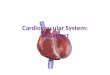 Cardiovascular System: The Heart. FUNCTIONS OF THE CARDIOVASCULAR SYSTEM