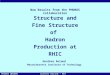 Gunther Roland - MITPHOBOS QM2005 Structure and Fine Structure of Hadron Production at RHIC Gunther Roland Massachusetts Institute of Technology New Results