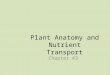Plant Anatomy and Nutrient Transport Chapter 43. In order to survive, plants have to… The best ways to appreciate plants is to consider how they overcome