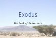 The Book of Deliverance. 2 The Law â€“ Torah The Pentateuch Genesis Exodus Leviticus Numbers Deuteronomy