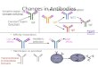 Changes in Antibodies Class switch recombination Membrane vs secreted mutation, selection Low affinity High affinity Affinity maturation IgE Constant region