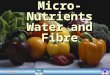 © ORCA Education Limited 2005 Micro-Nutrients Water and Fibre New Words
