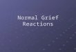 Normal Grief Reactions. Grief “an emotion or set of emotions due to a loss” Grief is a normal reaction to loss. The absence of grief is abnormal in most