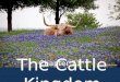 The Cattle Kingdom Chapter 21. Ranches, Ranchers, and Cowboys Chapter 21 Section 3