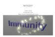 MOSDEF Dave Aitel Immunity, Inc 