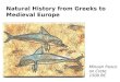 Natural History from Greeks to Medieval Europe Minoan fresco on Crete 1500 BC