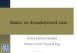 ©2009 Alston Hunt Floyd & Ing Basics on Employment Law Anna Elento-Sneed Alston Hunt Floyd & Ing