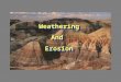 WeatheringAndErosion Weathering And Erosion. Weathering & Erosion: Standard: S6E5 Students will investigate the scientific view of how the earth's surface
