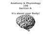 Anatomy & Physiology 100 Section A It’s about your Body!