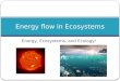 Energy, Ecosystems, and Ecology! Energy flow in Ecosystems