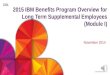 1 © 2014 IBM Corporation 2015 IBM Benefits Program Overview for Long Term Supplemental Employees (Module I) November 2014