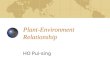 Plant-Environment Relationship HO Pui-sing. Contents Development of Plants Equatorial / Tropical Rain Forest Tropical Desert Vegetation Local Plant-Environment