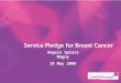 Service Pledge User involvement Successes Recognised model Next steps Angela Spiers Magny 18 May 2009