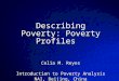 © 2003 By Default!Slide 1 Describing Poverty: Poverty Profiles Celia M. Reyes Introduction to Poverty Analysis NAI, Beijing, China Nov. 1-8, 2005