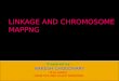 LINKAGE AND CHROMOSOME MAPPNG Prepared by - RAKESH CHOUDHARY M.Sc.(AGRI) GENETICS AND PLANT BREEDING