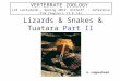 Lizards & Snakes & Tuatara Part II VERTEBRATE ZOOLOGY (VZ Lecture18 – Spring 2012 Althoff - reference PJH Chapters 13 & 14)  copperhead