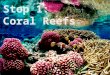Stop 1: Coral Reefs. How Do Coral Reefs Form?  Coral reefs begin to form when free- swimming coral larvae attach to submerged rocks or other hard surfaces