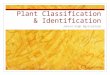 Plant Classification & Identification Junior High Agriculture