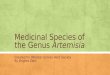 Medicinal Species of the Genus Artemisia Created for Webster Groves Herb Society By Brigitte Zettl