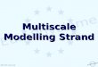 © 2006 STEP Consortium Multiscale Modelling Strand
