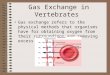 Gas Exchange in Vertebrates Gas exchange refers to the physical methods that organisms have for obtaining oxygen from their surroundings and removing excess