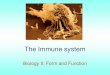 The Immune system Biology II: Form and Function. The Immune System Nonspecific defense mechanisms –Physical barriers (skin, mucous membranes –Internal