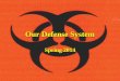 Our Defense System Spring 2014. Two ways your body defends you Nonspecific – attacks invaders without discretion. (doesn’t attack only specific invaders)