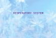 RESPIRATORY SYSTEM. The respiratory system helps meet the metabolic needs of the body by bringing oxygen into the bloodstream where it can be transported