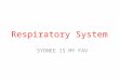 Respiratory System SYDNEE IS MY FAV. Consists of lungs and air passages Responsible for: -Taking in oxygen (gas needed by all body cells) – Removing carbon