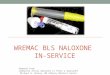 WREMAC BLS NALOXONE IN-SERVICE Adapted from: Community Access Naloxone Is there a downside? Michael W. Dailey, MD Albancy Medical Center