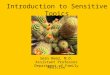 Introduction to Sensitive Topics Sean Reed, M.D. Assistant Professor Department of Family Medicine