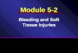 Module 5-2 Bleeding and Soft Tissue Injuries. Bleeding / Soft Tissue Injuries Bleeding Specific Injuries Dressing and Bandaging