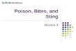 Poison, Bites, and Sting Module 8. 2 Poison, Bites, and Sting Animal bite Snake bite Insect Sting Poisoning