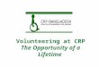 Volunteering at CRP The Opportunity of a Lifetime