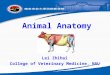 Animal Anatomy Lei Zhihai College of Veterinary Medicine, NAU
