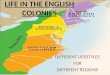 LIFE IN THE ENGLISH COLONIES DIFFERENT LIFESTYLES FOR DIFFERENT REGIONS