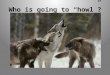 Who is going to “howl”?. 2 I believe something should be done to intervene in problematic situations. A. Strongly Agree B.Agree C.Neutral D.Disagree E.Strongly