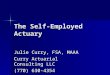 The Self-Employed Actuary Julie Curry, FSA, MAAA Curry Actuarial Consulting LLC (770) 630-4354