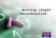 © 2006 J.Bringas, DMD, DDS, MS Working Length Determination Presented by: Josef Ma. Karlos S. Bringas, D.M.D., D.D.S., M.S. Department of Endodontics