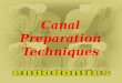 to shape the canals to the apical constriction of the canal space, regardless of the radiographic appearance of the actual tooth to shape the canals to