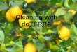 Cleaning with doTERRA Ways to clean using doTERRA oils